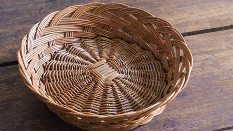 穆斯卡特：享受胜利喜悦，备战沪上德比，巴尔加斯世界波惊艳全场